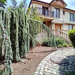 Twins Palace Aparthotel 3*